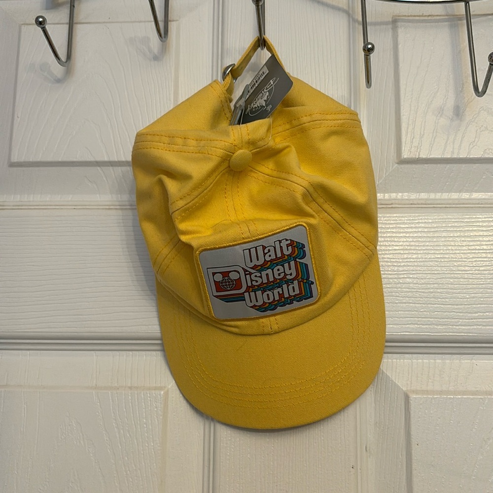 Walt Disney World baseball cap.